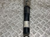 Stoßdämpfer hinten
