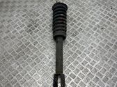Front shock absorber with coil spring