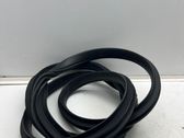 Front door rubber seal