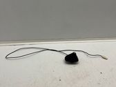 Radion antenni