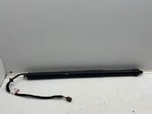 Tailgate/trunk strut/damper