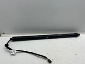 Tailgate/trunk strut/damper