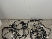 Other wiring loom