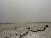 Other wiring loom