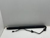 Tailgate/trunk strut/damper