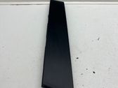 Rear door glass trim molding