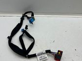 Other wiring loom