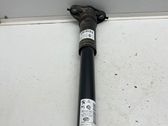 Rear shock absorber/damper