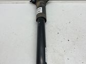 Rear shock absorber/damper