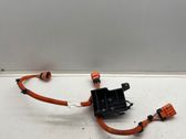 Other wiring loom