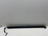 Tailgate/trunk strut/damper