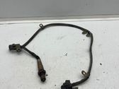 Lambda probe sensor