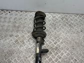 Front shock absorber with coil spring