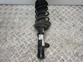 Front shock absorber with coil spring
