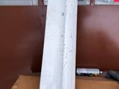 Rear door trim (molding)