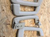 Rear interior roof grab handle