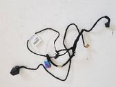 Front door wiring loom