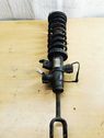 Front shock absorber/damper