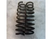 Rear coil spring