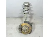 Front shock absorber with coil spring