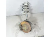 Front shock absorber with coil spring