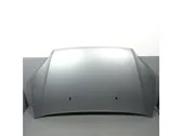 Engine bonnet/hood