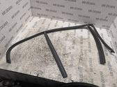 Rubber seal rear door window/glass