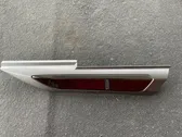 Fender trim (molding)