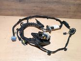 Rear door wiring loom