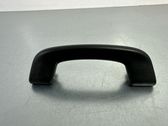 Front interior roof grab handle