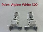 Tailgate/trunk/boot hinge