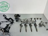 Fuel injection system set