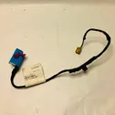 Front door wiring loom