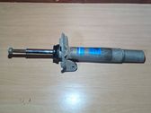 Stoßdämpfer Federbein