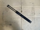 Tailgate/trunk strut/damper