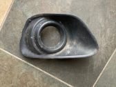Front fog light trim/grill