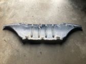 Front bumper skid plate/under tray
