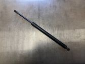 Tailgate/trunk strut/damper