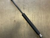 Front bonnet/hood damper/strut