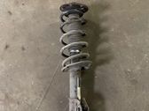 Front shock absorber/damper