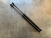 Front bonnet/hood damper/strut