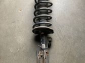 Front shock absorber with coil spring