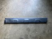 Front door trim (molding)