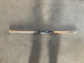 Front door trim (molding)