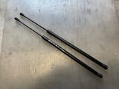 Tailgate/trunk strut/damper