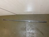 Front door trim (molding)