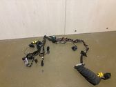 Front door wiring loom