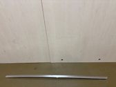 Rear door trim (molding)