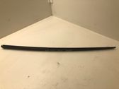 Windshield trim