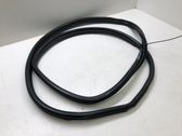 Rear door rubber seal (on body)